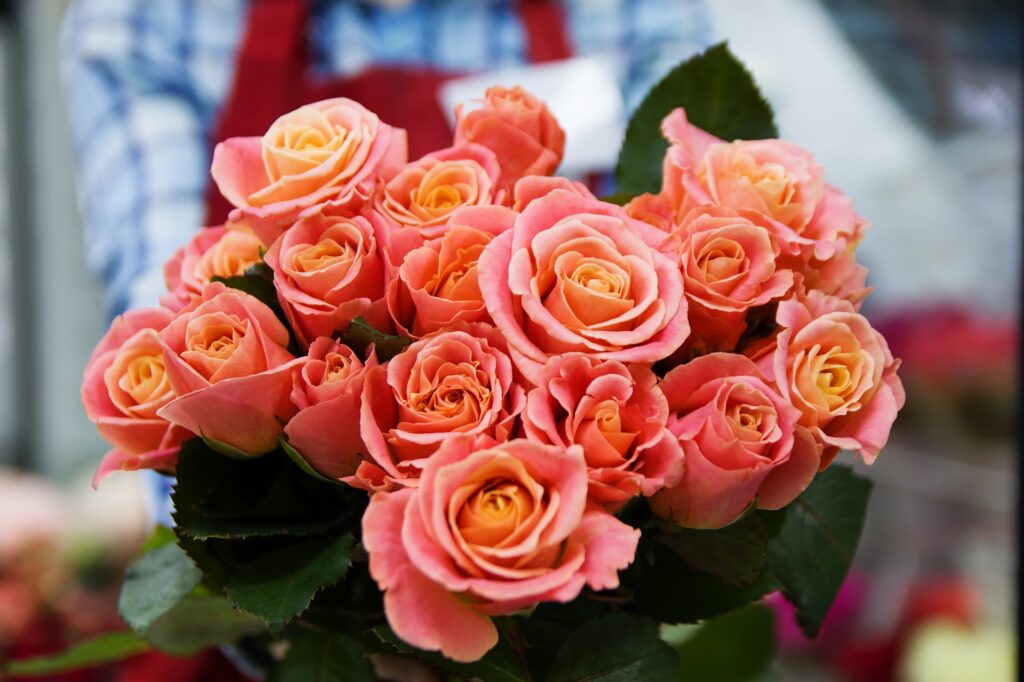 10 hermosas flores para alegrar a tu amiga