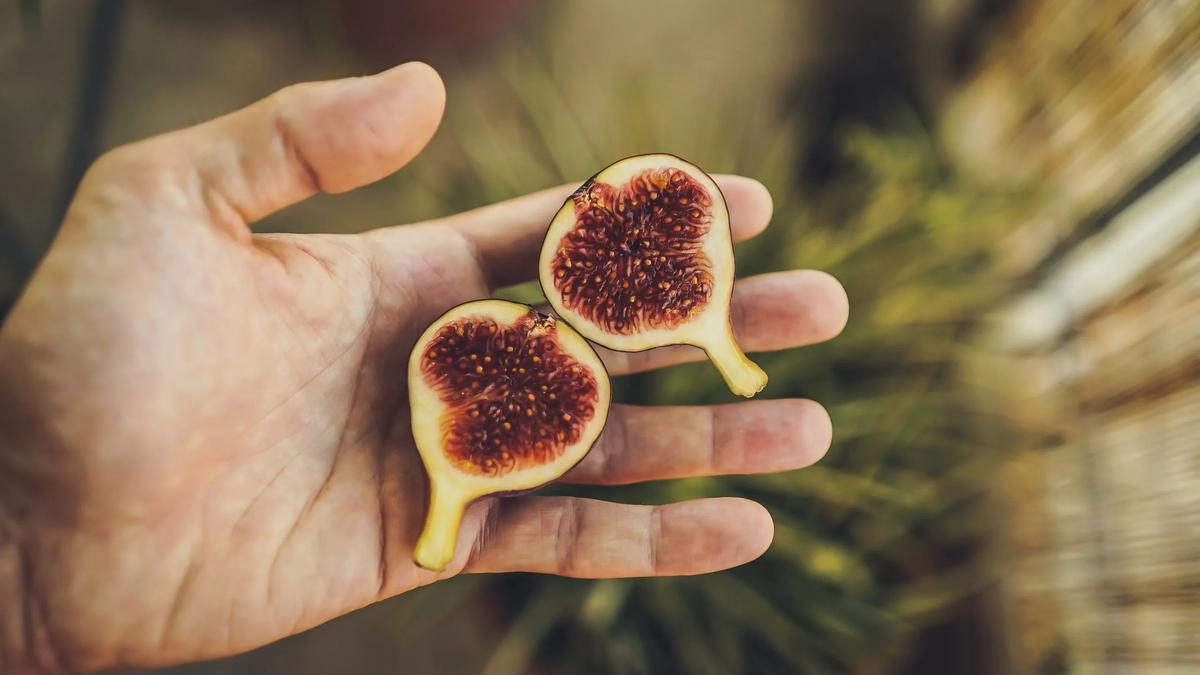 10 sorprendentes usos del fruto rojo pequeño silvestre que debes conocer