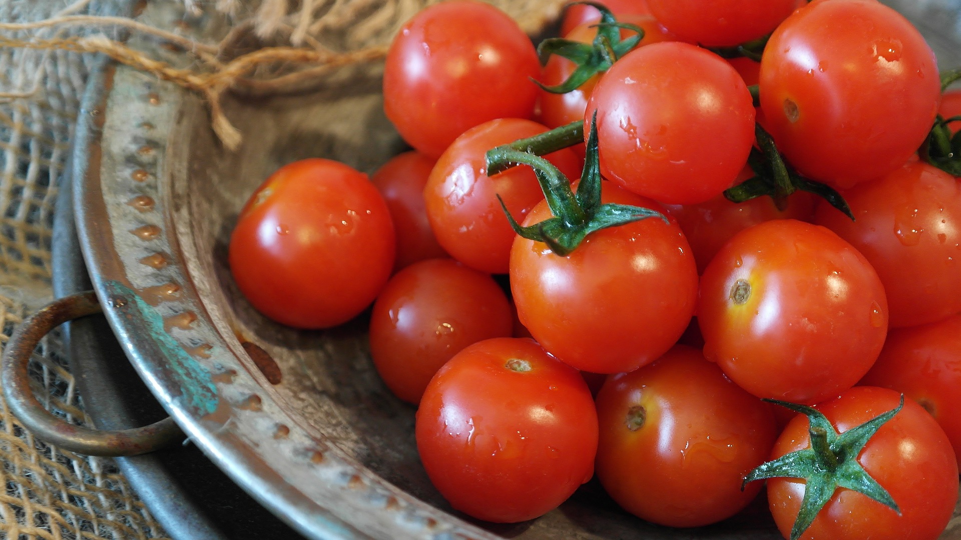 Guía completa para sembrar tomates: el mejor mes para hacerlo
