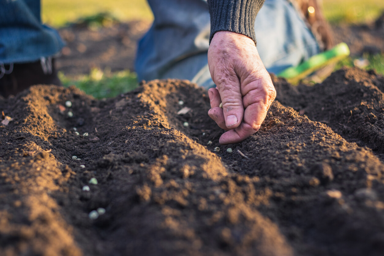 Guía completa: Preparación de la tierra para sembrar con éxito