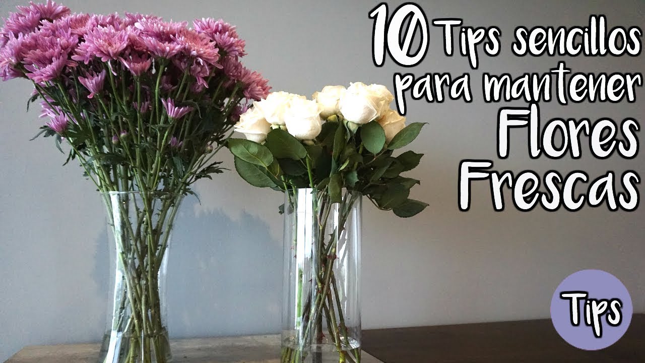 Los mejores consejos para mantener fresco tu ramo de flores