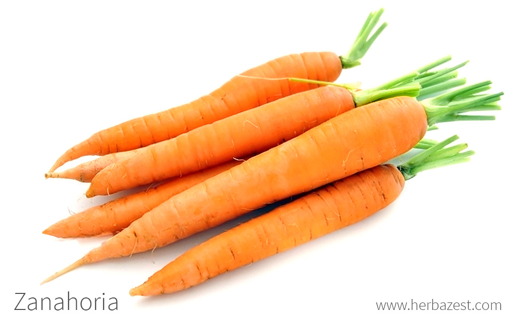 Los secretos para saber cuándo cosechar zanahorias